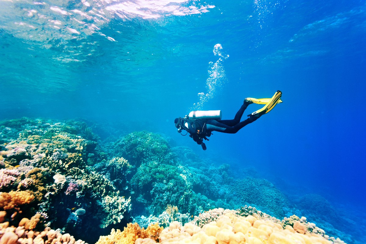 what to do in zanzibar