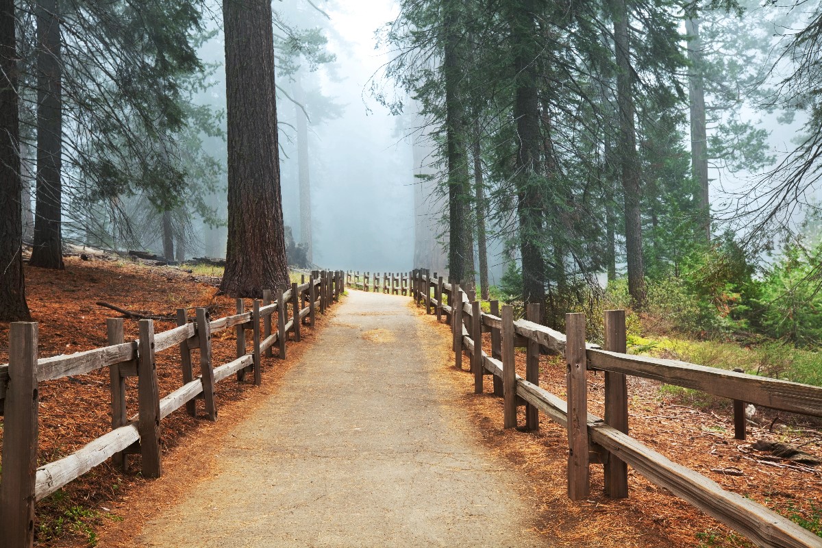 best national parks in the us