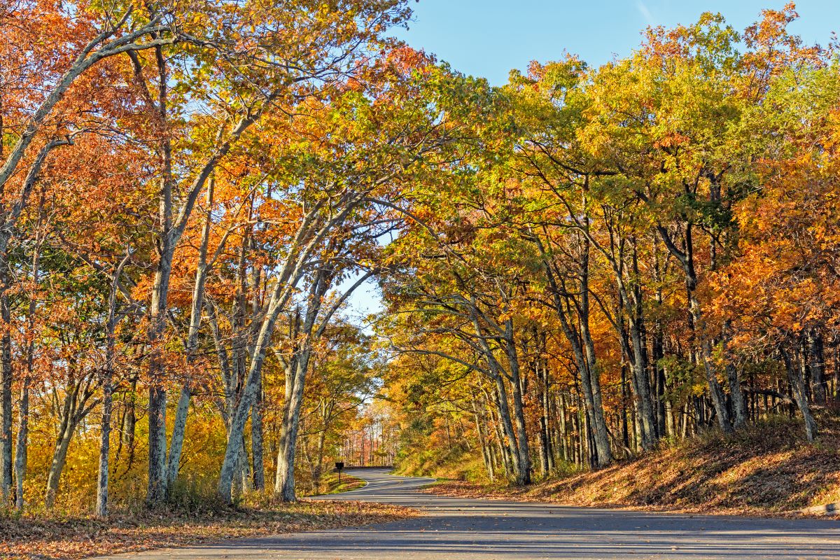when to visit national parks