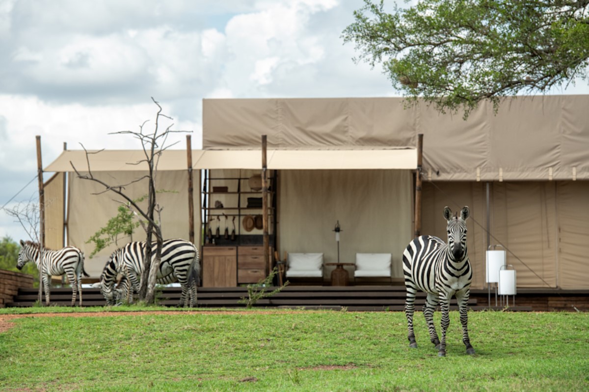 african safari lodge