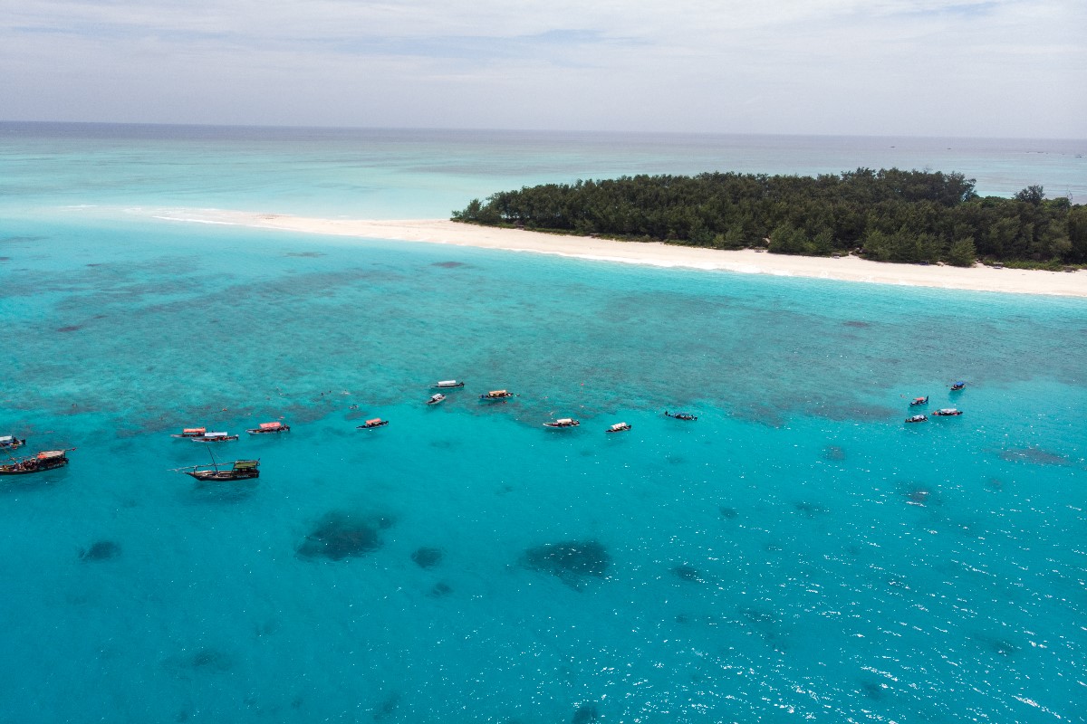what to do in zanzibar