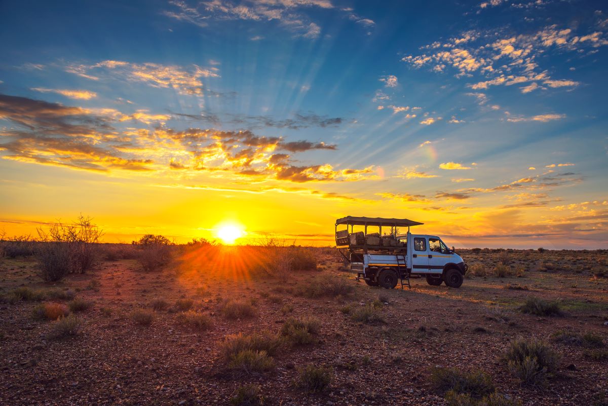 african safari theme