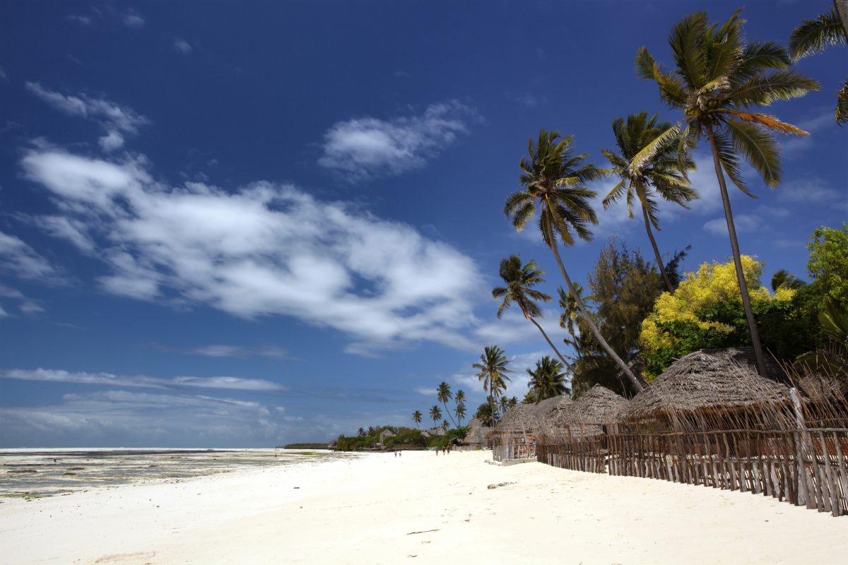 travel to zanzibar