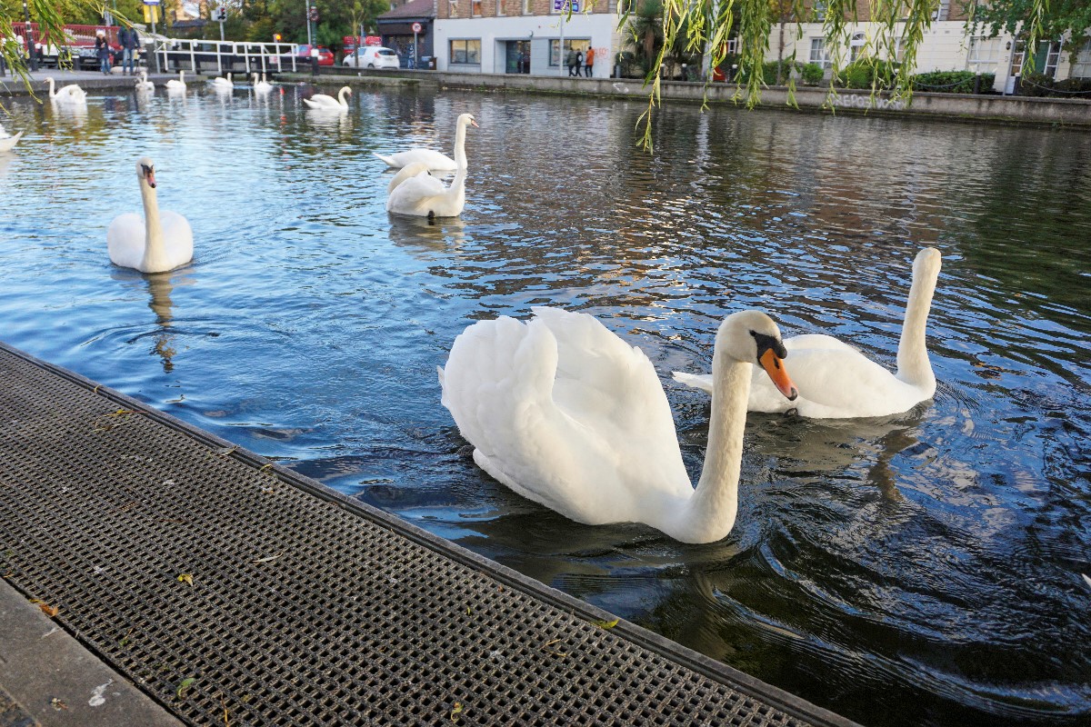 where to stay in dublin ireland